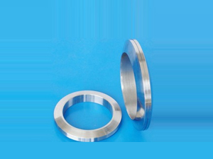 Lens Ring Joint Gasket